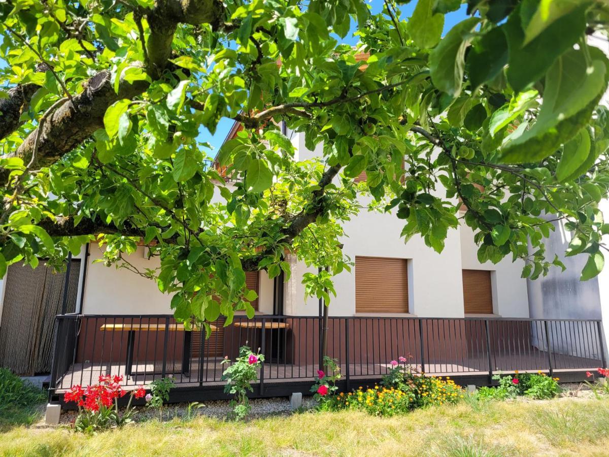 Casa Julio, Bonita Casa Comoda Y Espaciosa, Totalmente Reformada Con Terraza Y Jardin Privado Riezu المظهر الخارجي الصورة